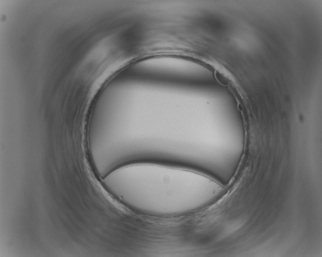 X0000062911333200601181209