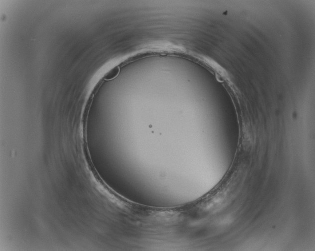 X0000062911335200601181210