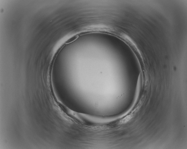 X0000062911336200601181210