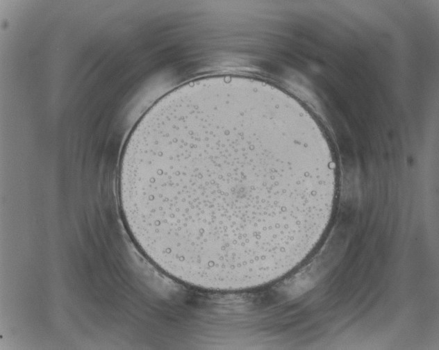 X0000062911338200601181210