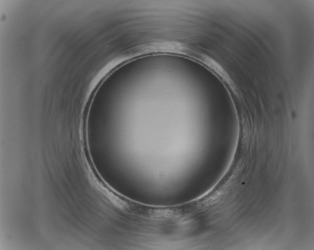 X0000062911339200601181210