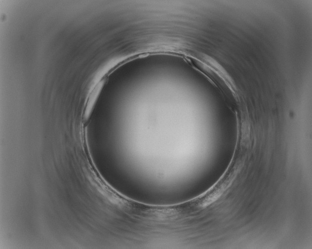 X0000062911340200601181210