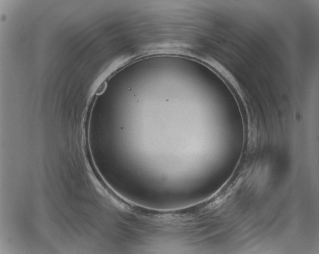 X0000062911341200601181210