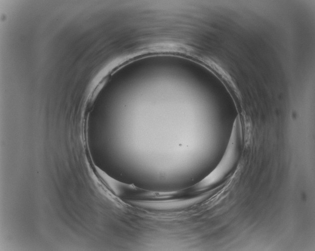 X0000062911342200601181210