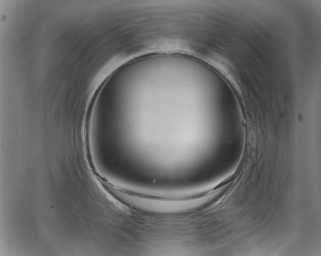 X0000062911343200601181210