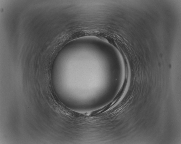 X0000062911345200601181209