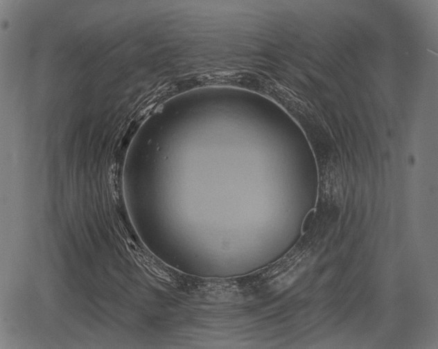 X0000062911346200601181209