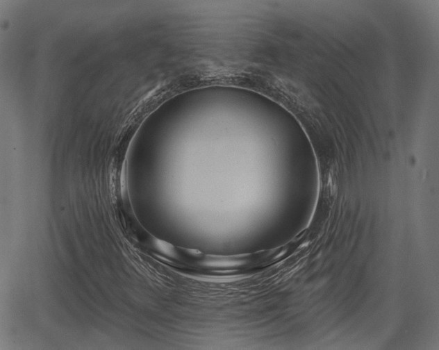 X0000062911348200601181209