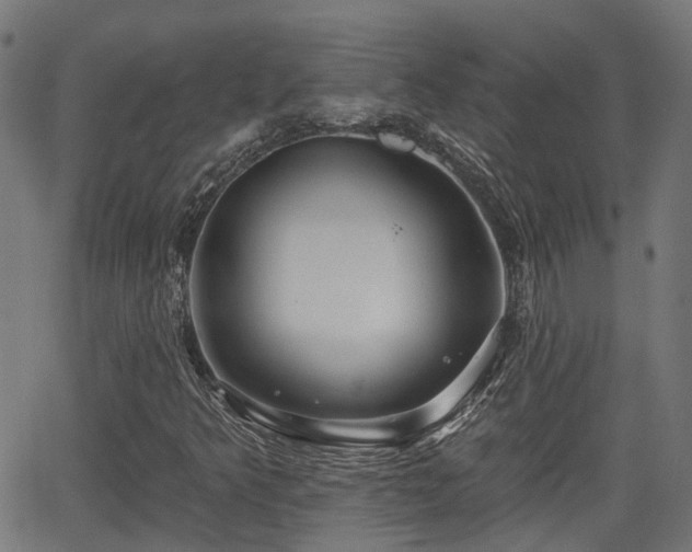 X0000062911349200601181209