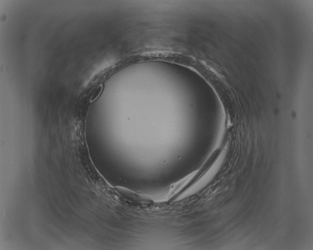 X0000062911351200601181209