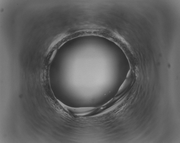 X0000062911352200601181209