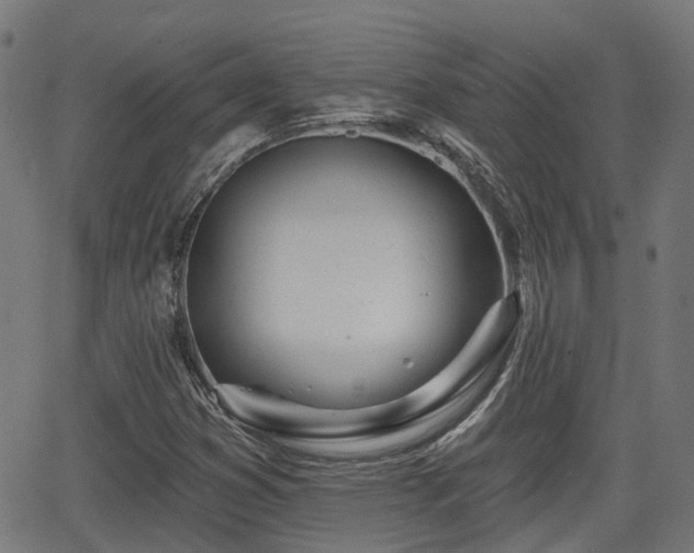 X0000062911353200601181209