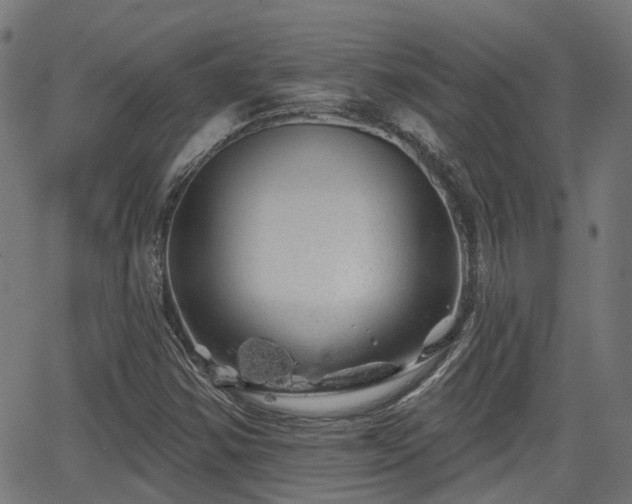 X0000062911354200601181209