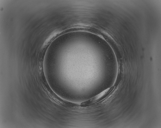 X0000062911355200601181209