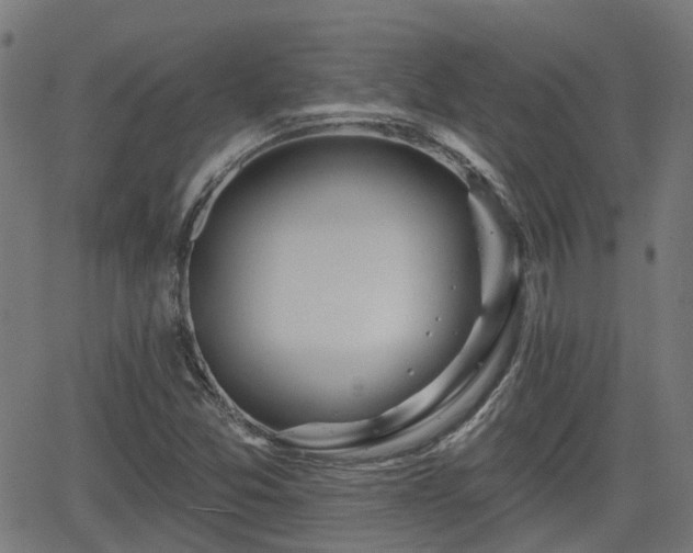 X0000062911357200601181209