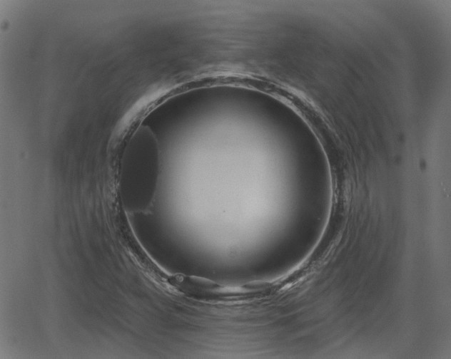 X0000062911359200601181209