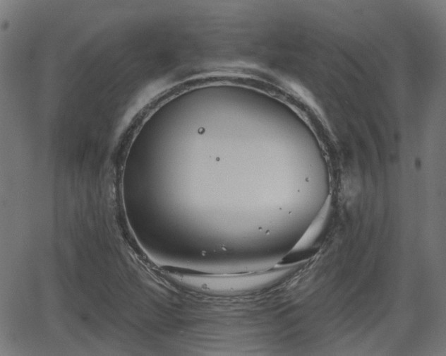 X0000062911360200601181209