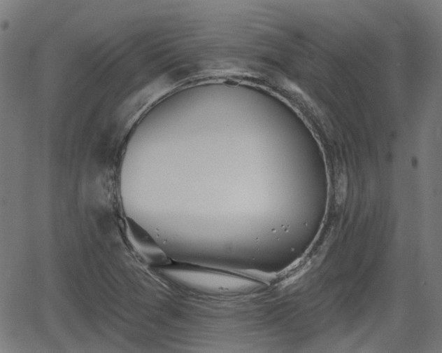 X0000062911361200601181209