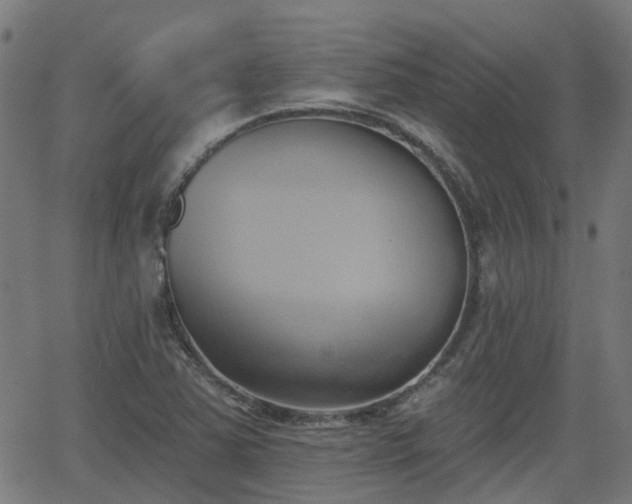 X0000062911363200601181209