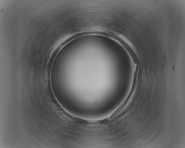 X0000062911364200601181209