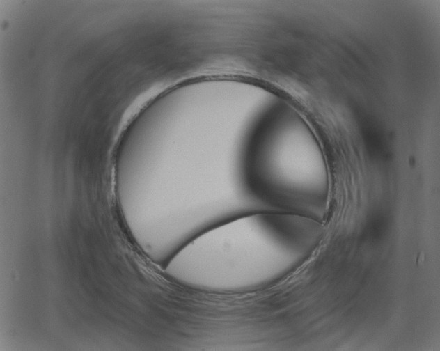 X0000062911366200601181209