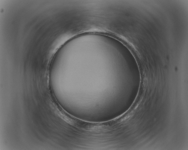 X0000062911367200601181209