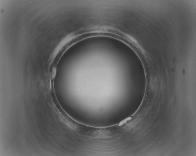 X0000062911368200601181209