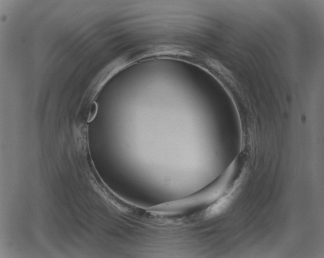 X0000062911369200601181208