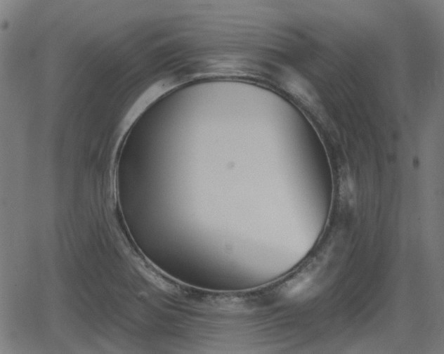 X0000062911370200601181208