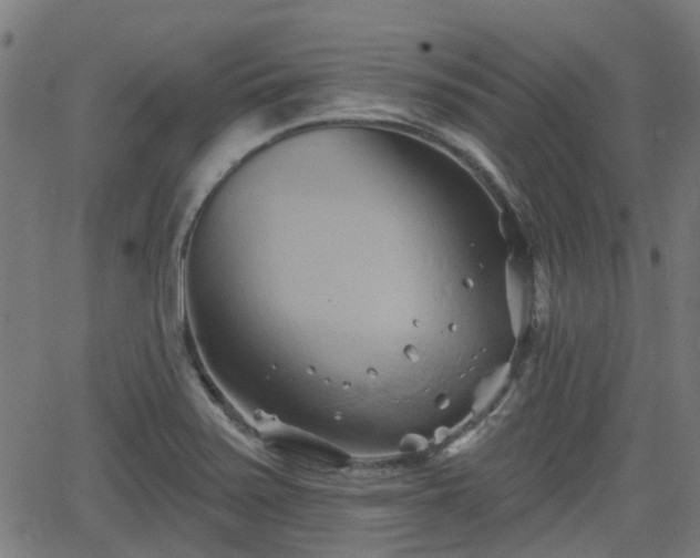 X0000062911371200601181208