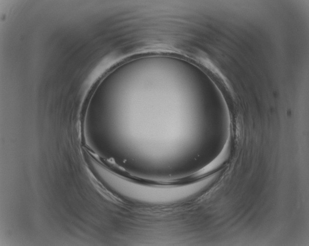 X0000062911372200601181208