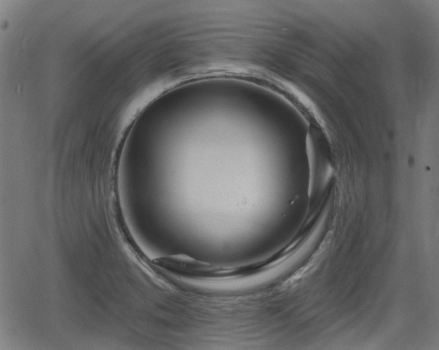 X0000062911373200601181208