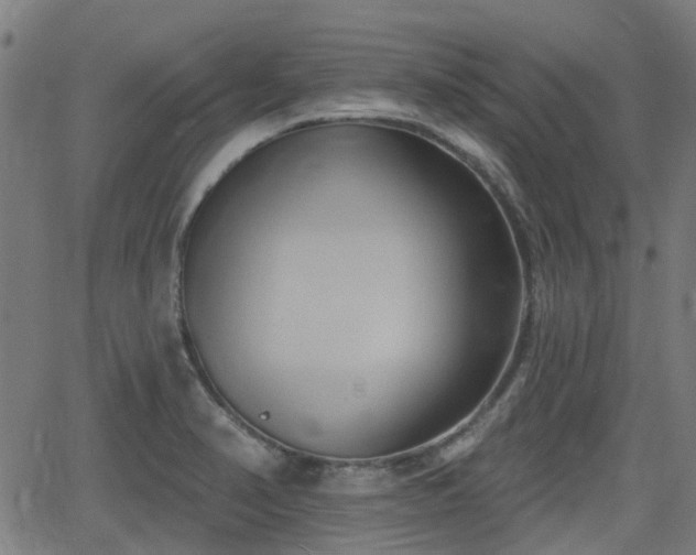 X0000062911374200601181208