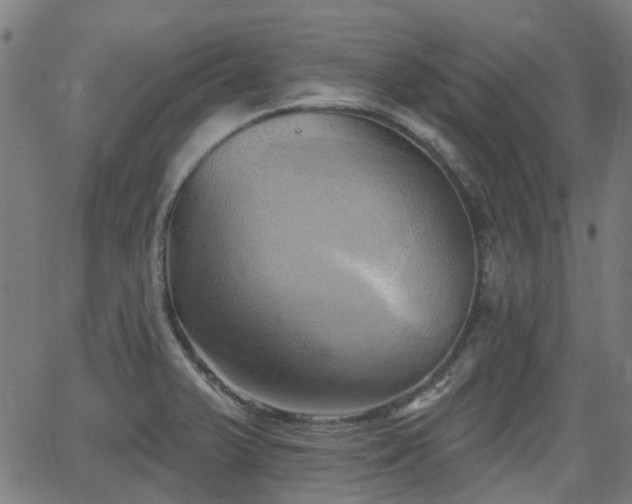 X0000062911375200601181208