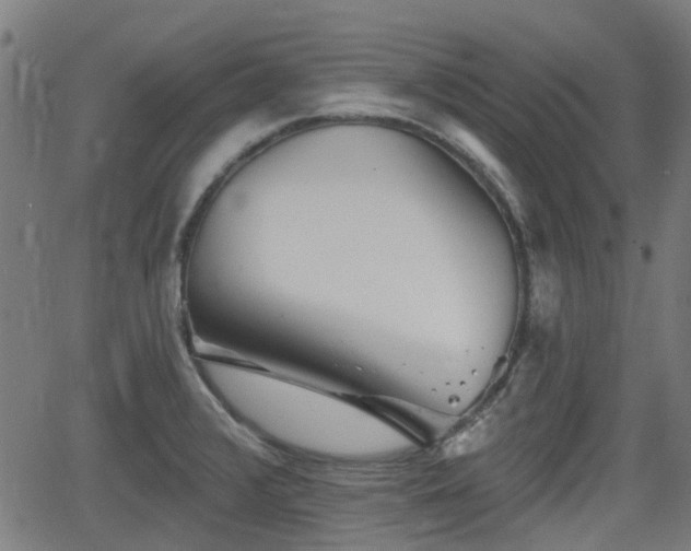 X0000062911376200601181208