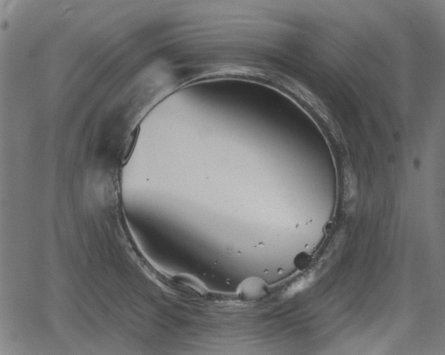 X0000062911377200601181208