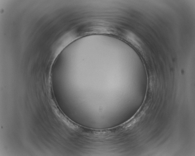 X0000062911378200601181208