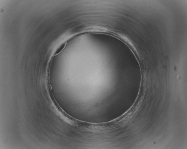 X0000062911379200601181208