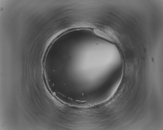 X0000062911380200601181208