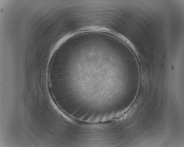 X0000062911381200601181208