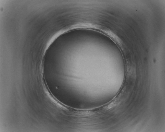 X0000062911382200601181208