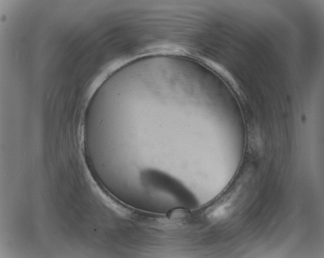 X0000062911383200601181208