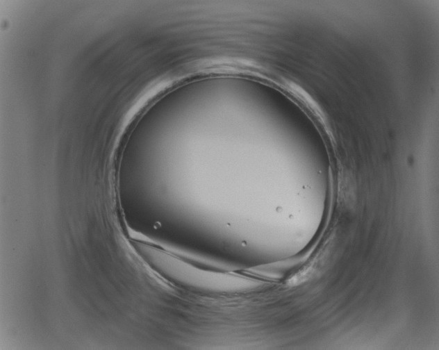 X0000062911384200601181208