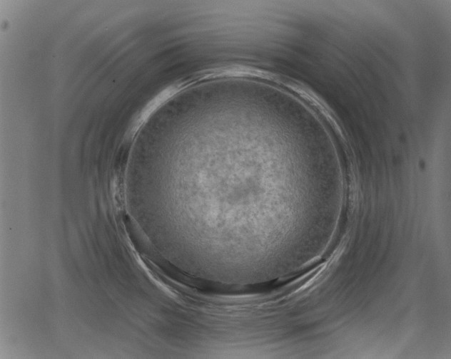 X0000062911385200601181208