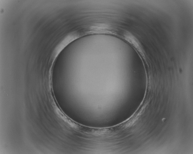 X0000062911386200601181208