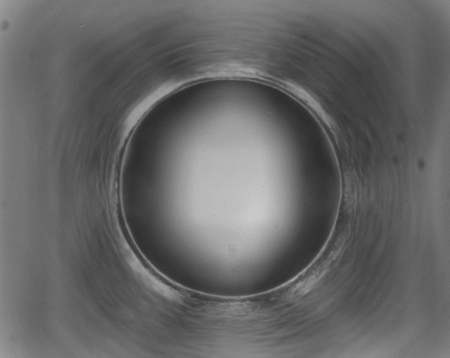 X0000062911387200601181208