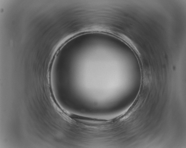 X0000062911388200601181208