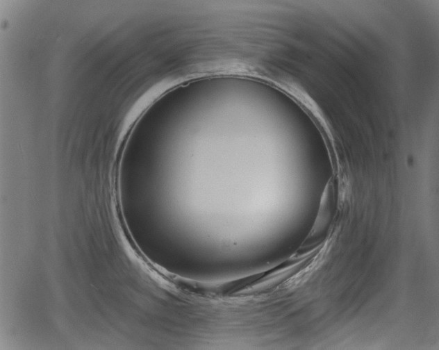 X0000062911389200601181208