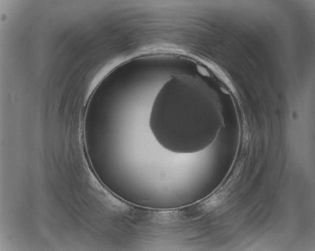 X0000062911390200601181208