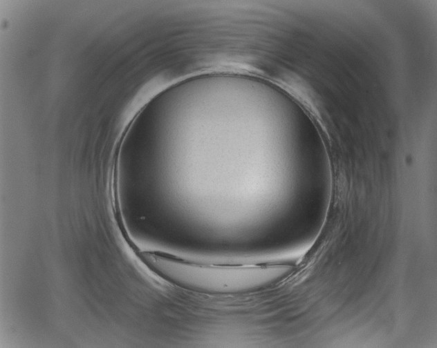 X0000062911391200601181208